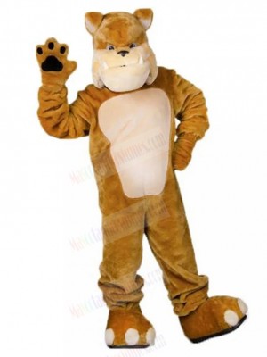 Dog mascot costume