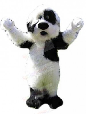Black and White Bichon Dog Fursuit Mascot Costume