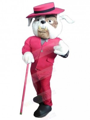 Dog mascot costume