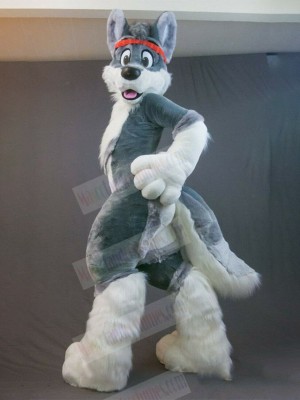 Gray Husky Dog Fursuit Mascot Costume with Red Headband