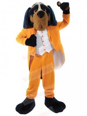 Elegant Bandleader Rottweiler Mascot Costume in Orange Suit