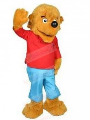 dog mascot costume
