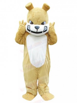 dog mascot costume