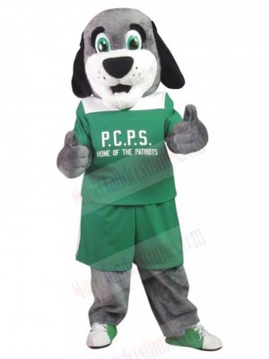 Patriots School Grey Dog Mascot Costume in Green Shirt Animal