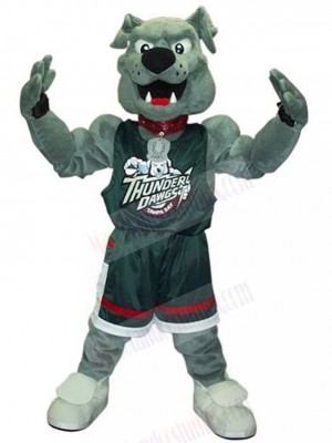 Muscular Grey Bulldog Thunder The Dawg Mascot Costume Animal