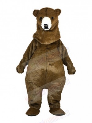 bear mascot costume