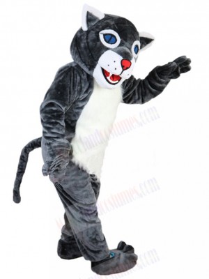 Wildcat mascot costume