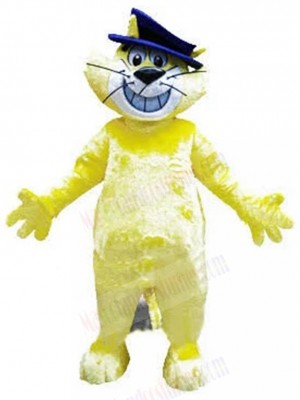 cat mascot costume