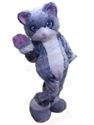 cat mascot costume