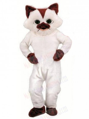 cat mascot costume