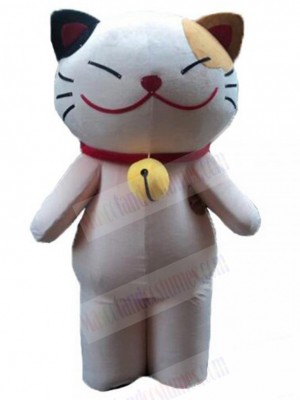 cat mascot costume