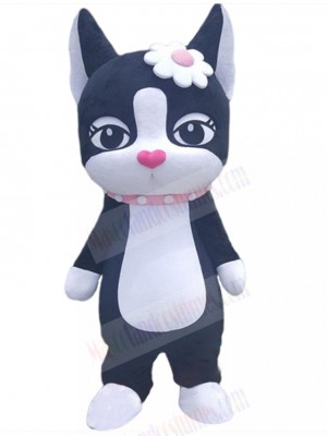 cat mascot costume