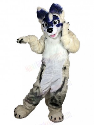 dog mascot costume