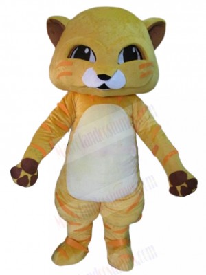 cat mascot costume