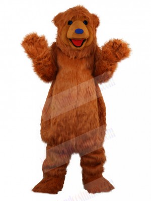 Bear mascot costume