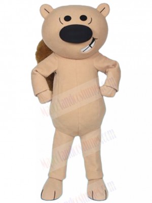 Squirrel mascot costume