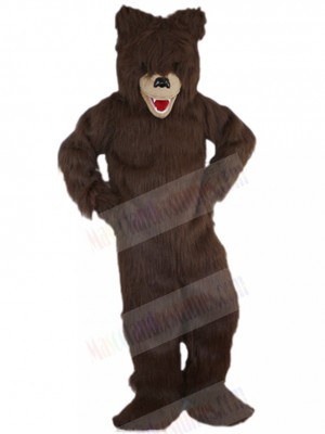 Bear mascot costume
