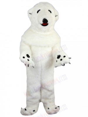 Polar Bear mascot costume
