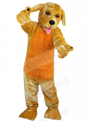 dog mascot costume