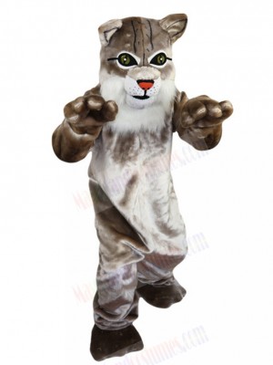 wildcat mascot costume