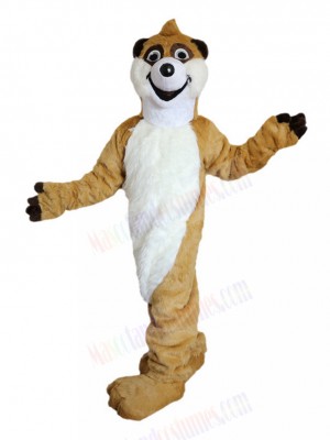 Laughing Brown Raccoon Mascot Costume Animal