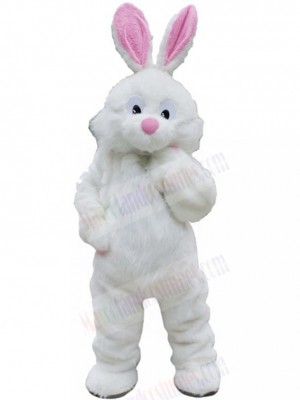 Rabbit mascot costume