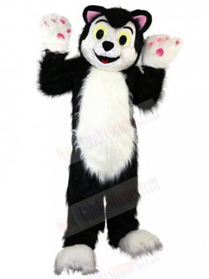 cat mascot costume