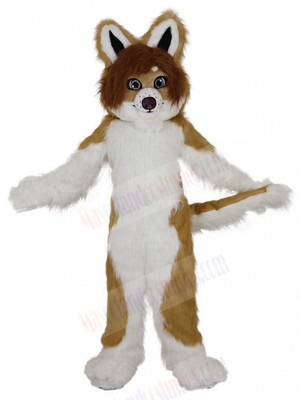 dog mascot costume
