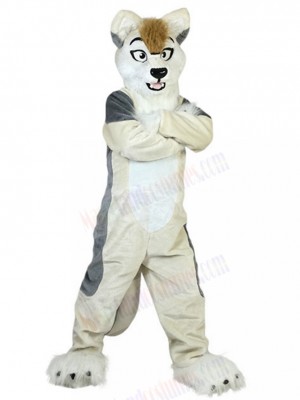 dog mascot costume