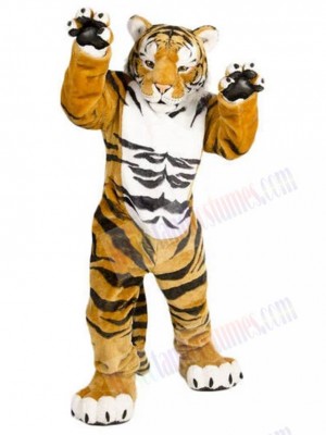 Tiger mascot costume