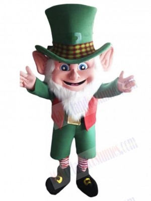 Leprechaun mascot costume