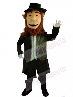 Leprechaun mascot costume