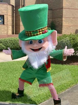 Leprechaun mascot costume
