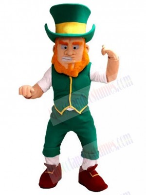 Leprechaun mascot costume