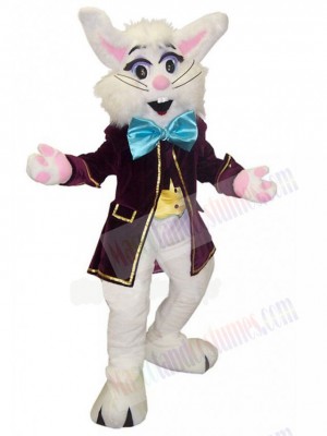 Wendell Rabbit mascot costume