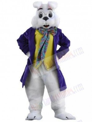 Wendell Rabbit mascot costume