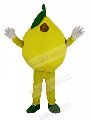 Yellow Lemon Mascot Costume