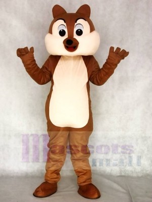 Squirrel Boy Mascot Funny Costumes Animal