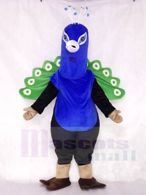 Cute Peacock Mascot Costumes Bird Animal