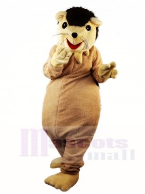 Hedgehog Porcupine Mascot Costumes Animal