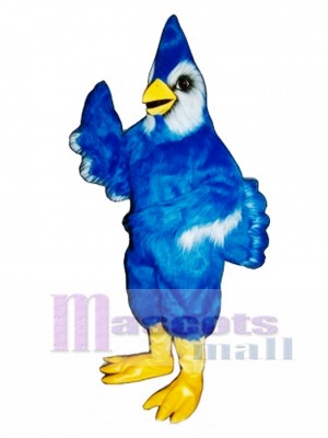 New Blue Jay Mascot Costume Bird