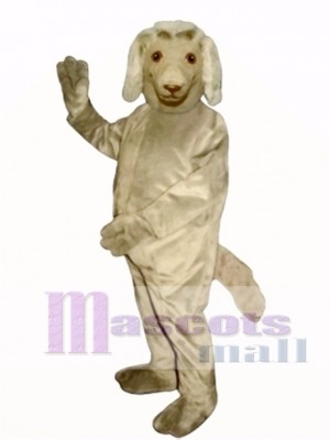 Cute Afghan Dog Mascot Costume Animal