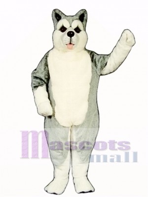 Cute Siberian Husky Dog Mascot Costume