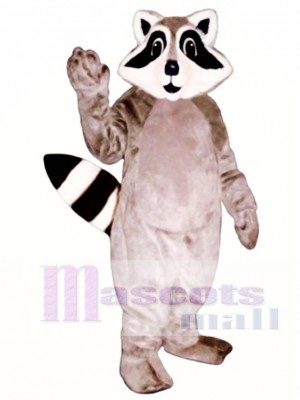 Little Raccoon Mascot Costume