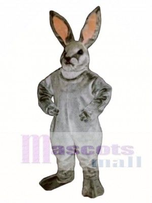 Easter Jack Bunny Rabbit Mascot Costume