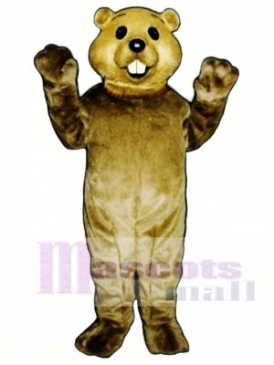 Cute Groundhog Mascot Costume Animal