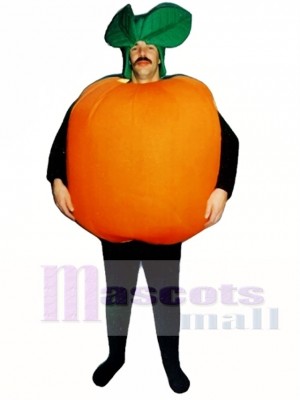 Orange Mascot Costume