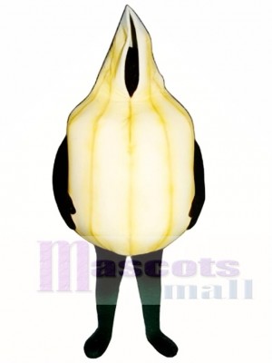 Onion Mascot Costume Vegetable 