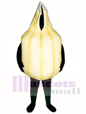 Onion Mascot Costume Vegetable