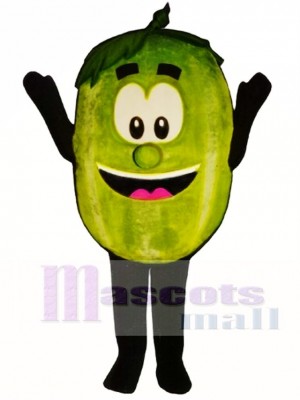 Wally Watermelon Mascot Costume Fruit 